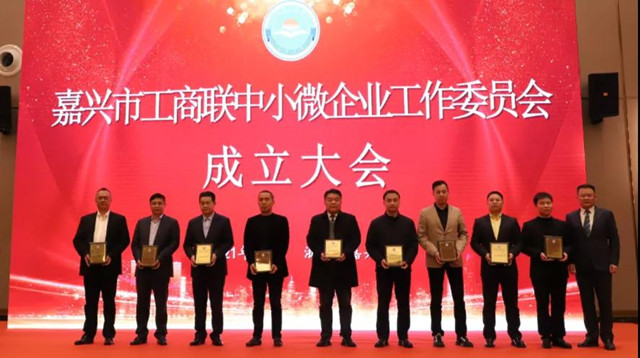 嘉興市工商聯(lián)中小微企業(yè)工作委員會(huì)成立，我司當(dāng)選副主任委員
